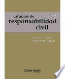 libro Estudios De Responsabilidad Civil